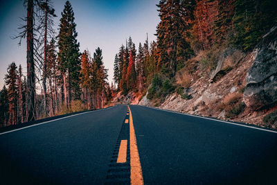 Empty road amidst trees against sky