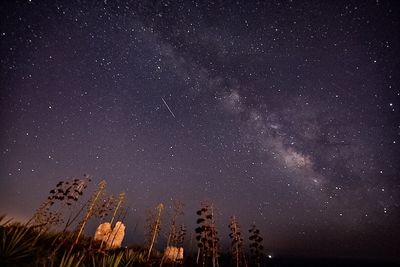 Low angle view of star field against star field