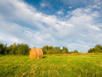 Hay bales on field against sky