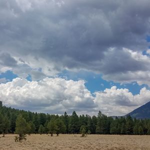 Panoramic view of landscape against sky