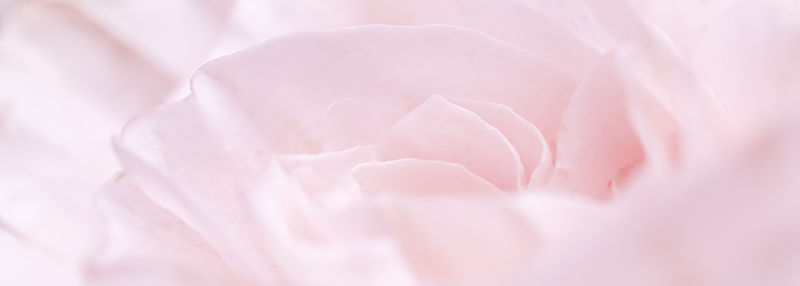 Full frame shot of crumpled