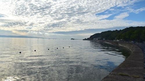 Birds swimming in sea against sky