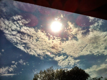 Low angle view of trees against sky