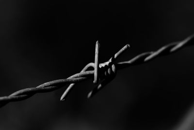 Close-up of barbed wire