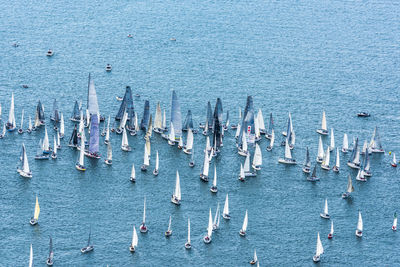 High angle view of sailboats in sea