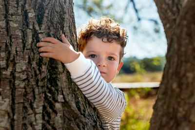 Serious charming kid with curly hair embracing tree with rough bark and looking at camera in sunny countryside