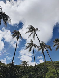 Low angle view of coconut palm trees against sky