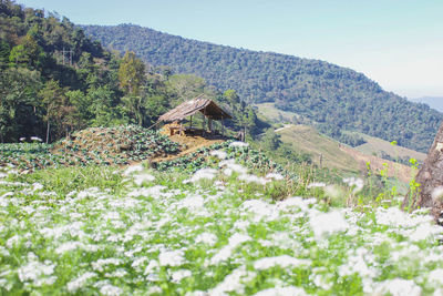 Scenic view of mountains against clear sky