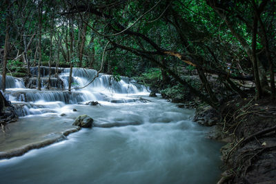 Scenic view of waterfall in forest