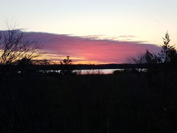 Scenic view of silhouette trees against sky at sunset