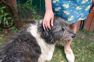 Midsection of woman with dog