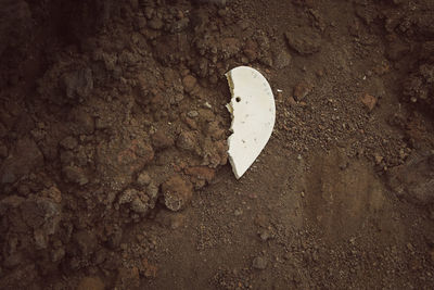 Close-up of heart shape on wall