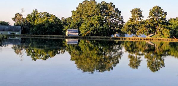 Reflection of trees in lake against sky