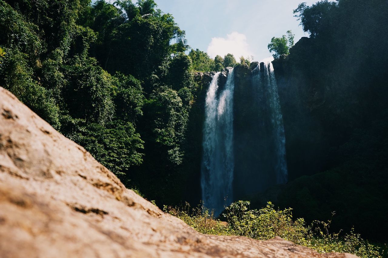 water, waterfall, motion, flowing water, beauty in nature, tree, nature, rock - object, scenics, flowing, long exposure, plant, rock formation, growth, tranquility, sky, tranquil scene, idyllic, day, green color