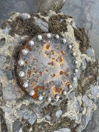rock