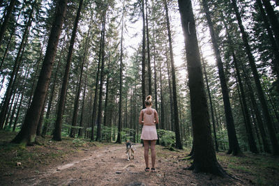 Rear view of woman with dog standing in forest