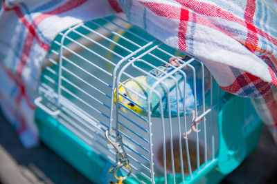 Close up of bird in cage