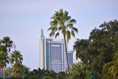 Palm trees and buildings against sky