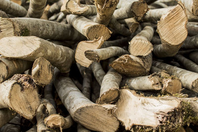 Full frame shot of logs