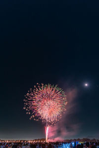 Low angle view of firework display at night