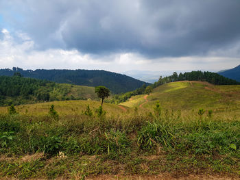 Scenic view of field against sky