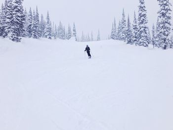 A lone skier on a ski hill on a snowy day