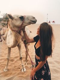Young woman touching camel while standing at desert against sky