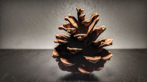 Close-up of flower on table