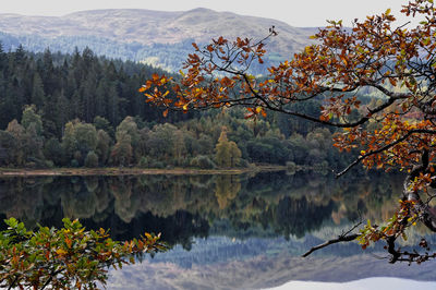 Reflection of trees on lake during autumn