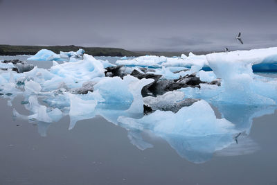 Ice floating on water in winter