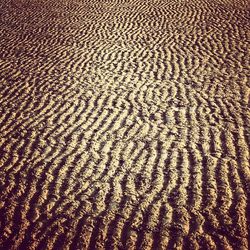 Full frame shot of tiled floor