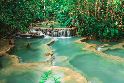 Scenic view of waterfall in forest