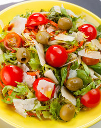 Close-up of salad in plate