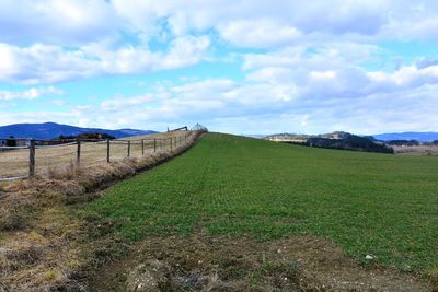 Scenic view of agricultural field against sky