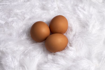 High angle view of eggs in plate