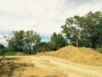 Road amidst trees on field against sky