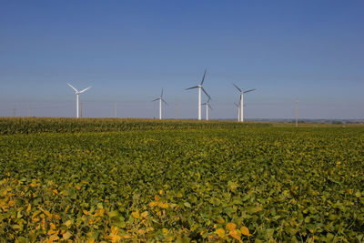 Windmills on field against sky