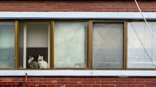 People sitting on window of building