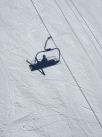 Close-up of horse on snow