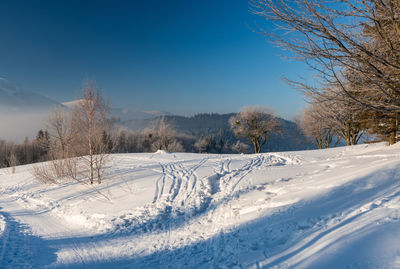 Snow covered field by trees against blue sky