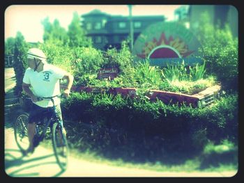Plants growing on tree trunk