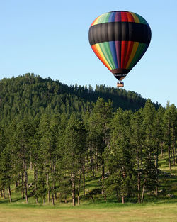 Hot air balloon rises over pine trees and mountains with morning sky