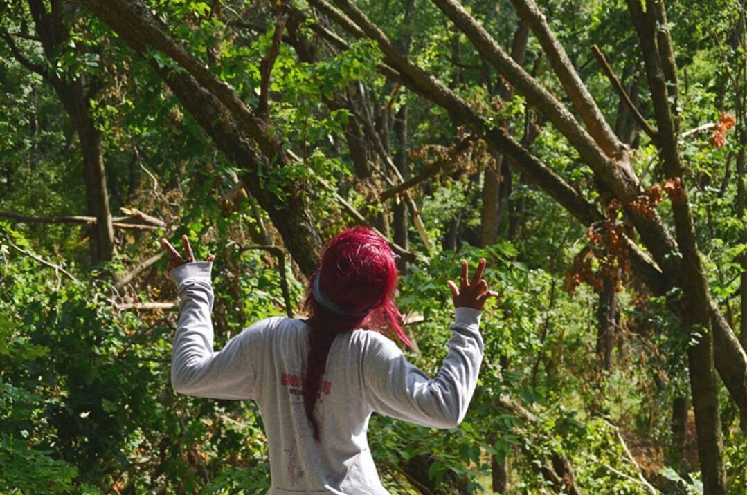 tree, lifestyles, leisure activity, casual clothing, growth, full length, forest, men, childhood, rear view, bonding, togetherness, green color, tree trunk, boys, nature, branch