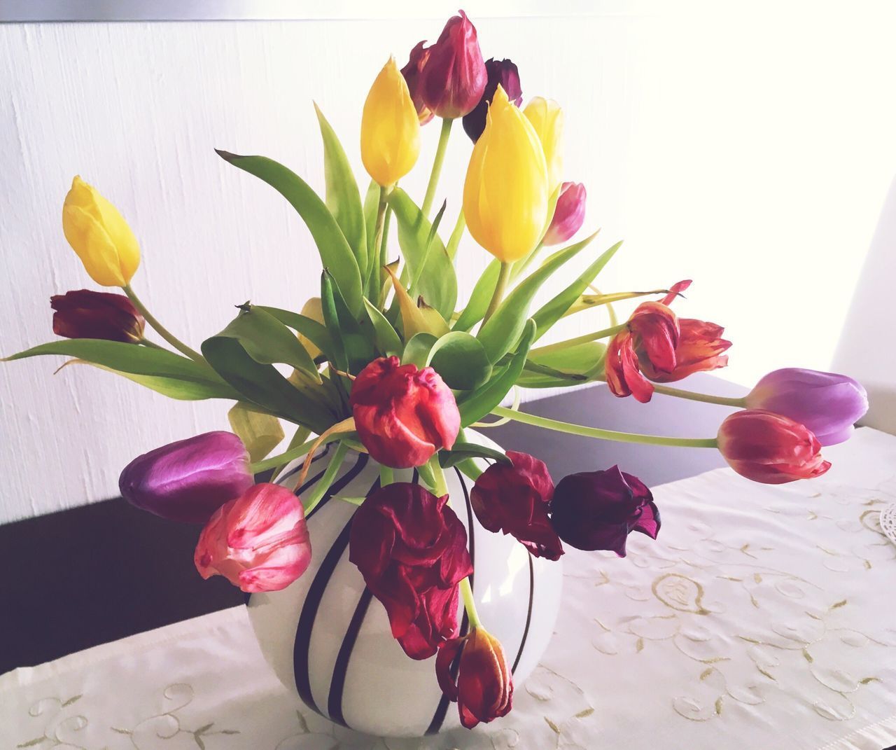 CLOSE-UP OF TULIPS