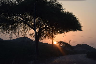 Silhouette tree by road against sky during sunset