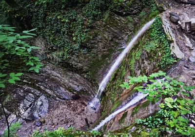 Stream flowing through rocks in forest