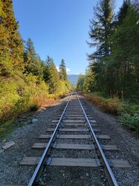 Railroad track amidst trees against clear sky