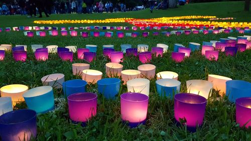 Multi colored flower pots on field at park