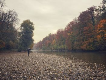 Scenic view of lake and trees during autumn
