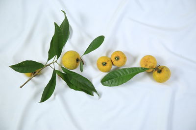 High angle view of fruits on bed